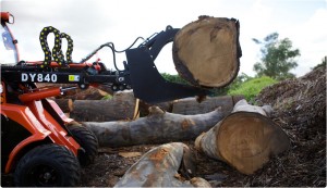 Arbor Age Magazine Test Drive: Angry Ant Mini Loader