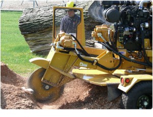 Rayco RG140DXH Diesel Stump Grinder