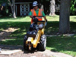 Rayco RG25HD Stump Grinder